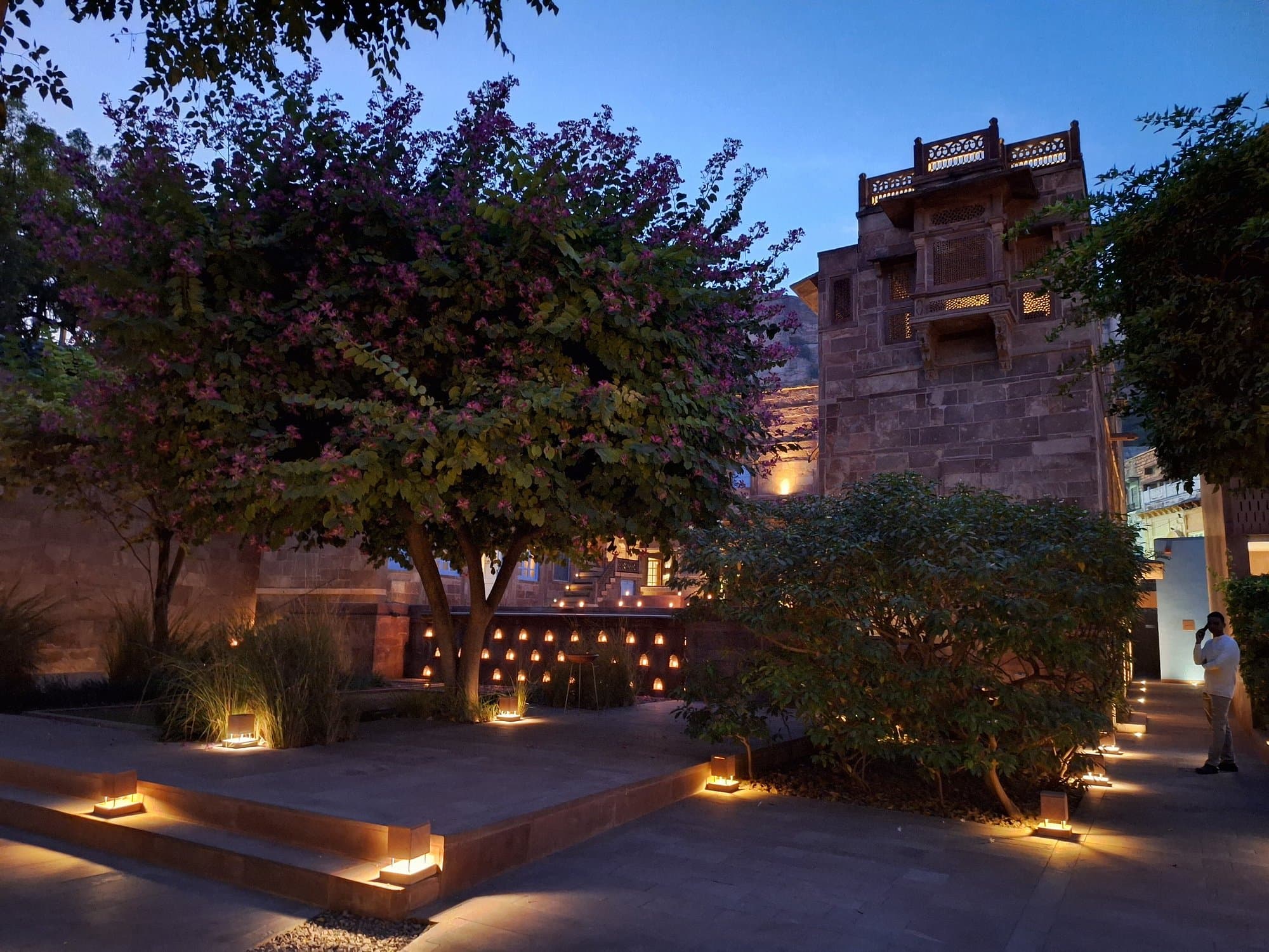 RAAS Jodhpur's restored sandstone courtyard tower lit at dusk, framed by a flowering tree
