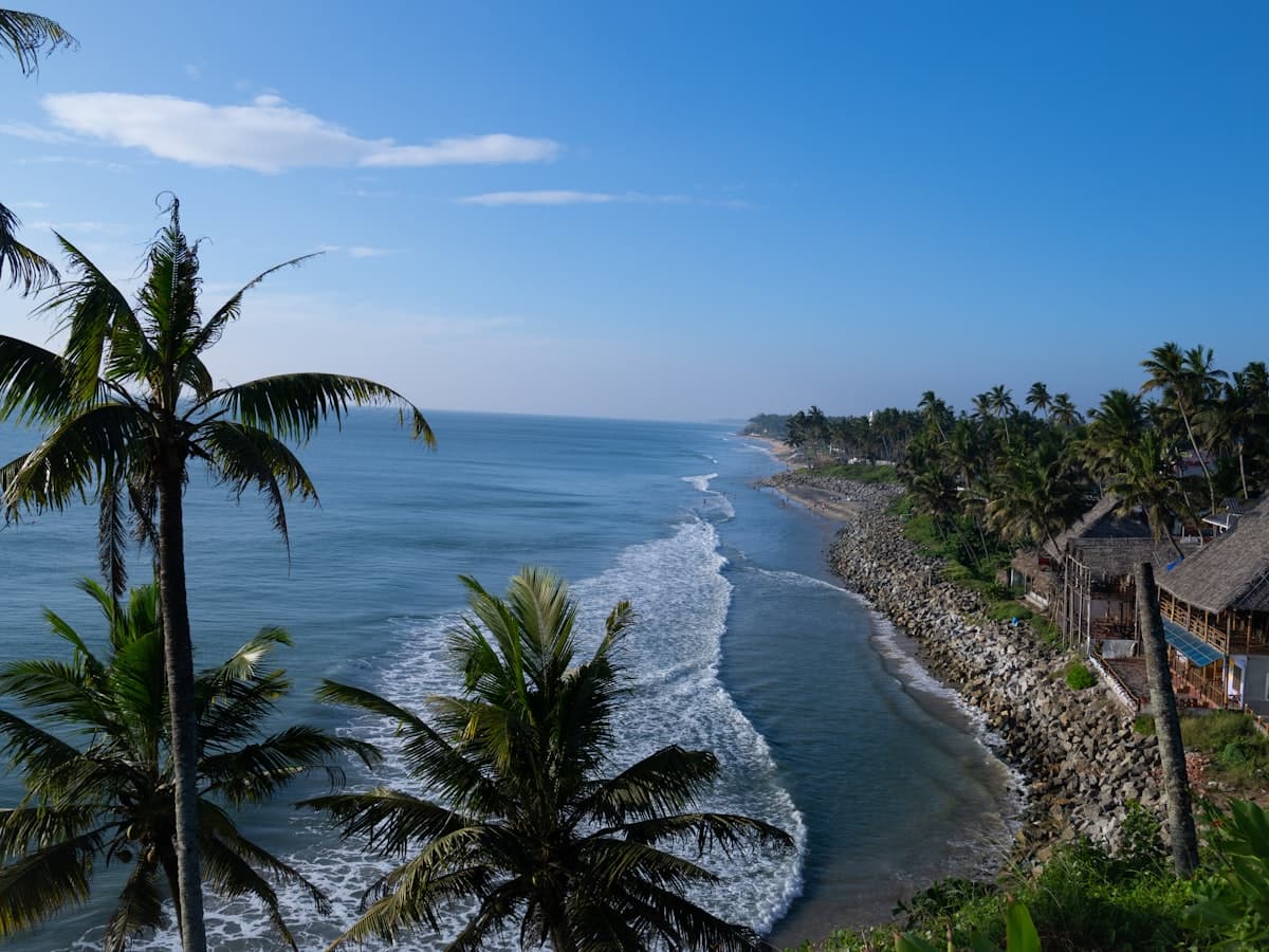 The palm-topped laterite cliff above the beach at Varkala