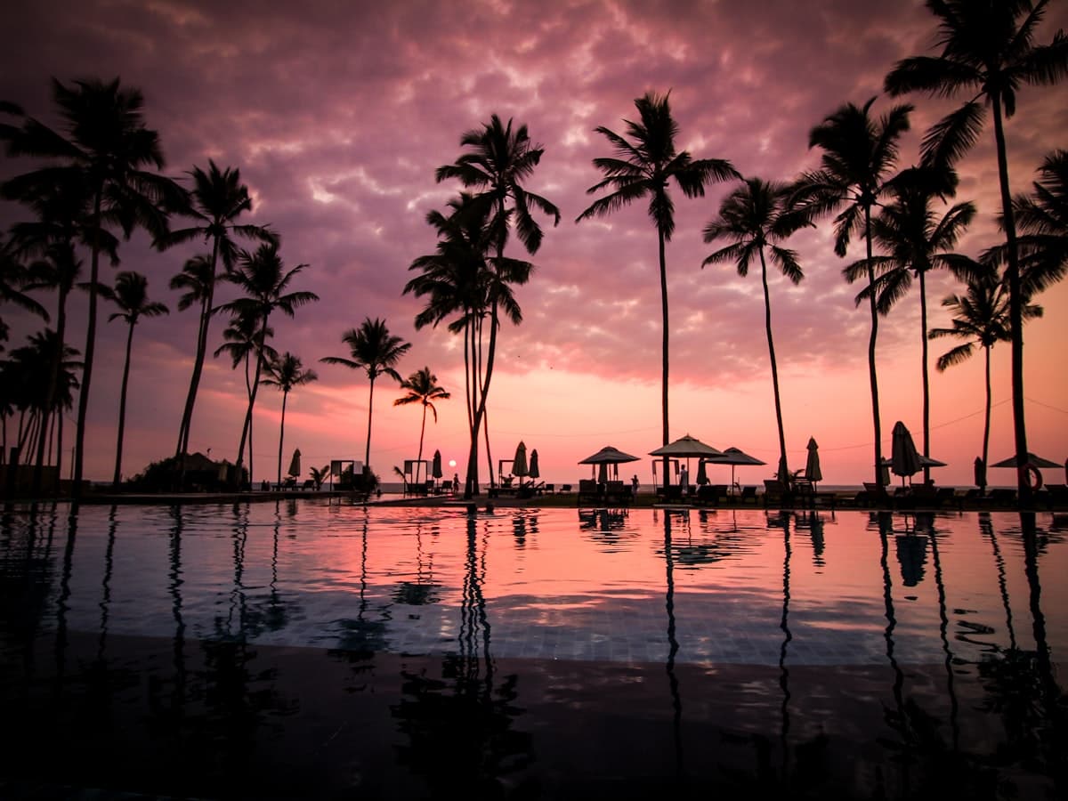 Coconut palms leaning over the sand beside calm shallow water