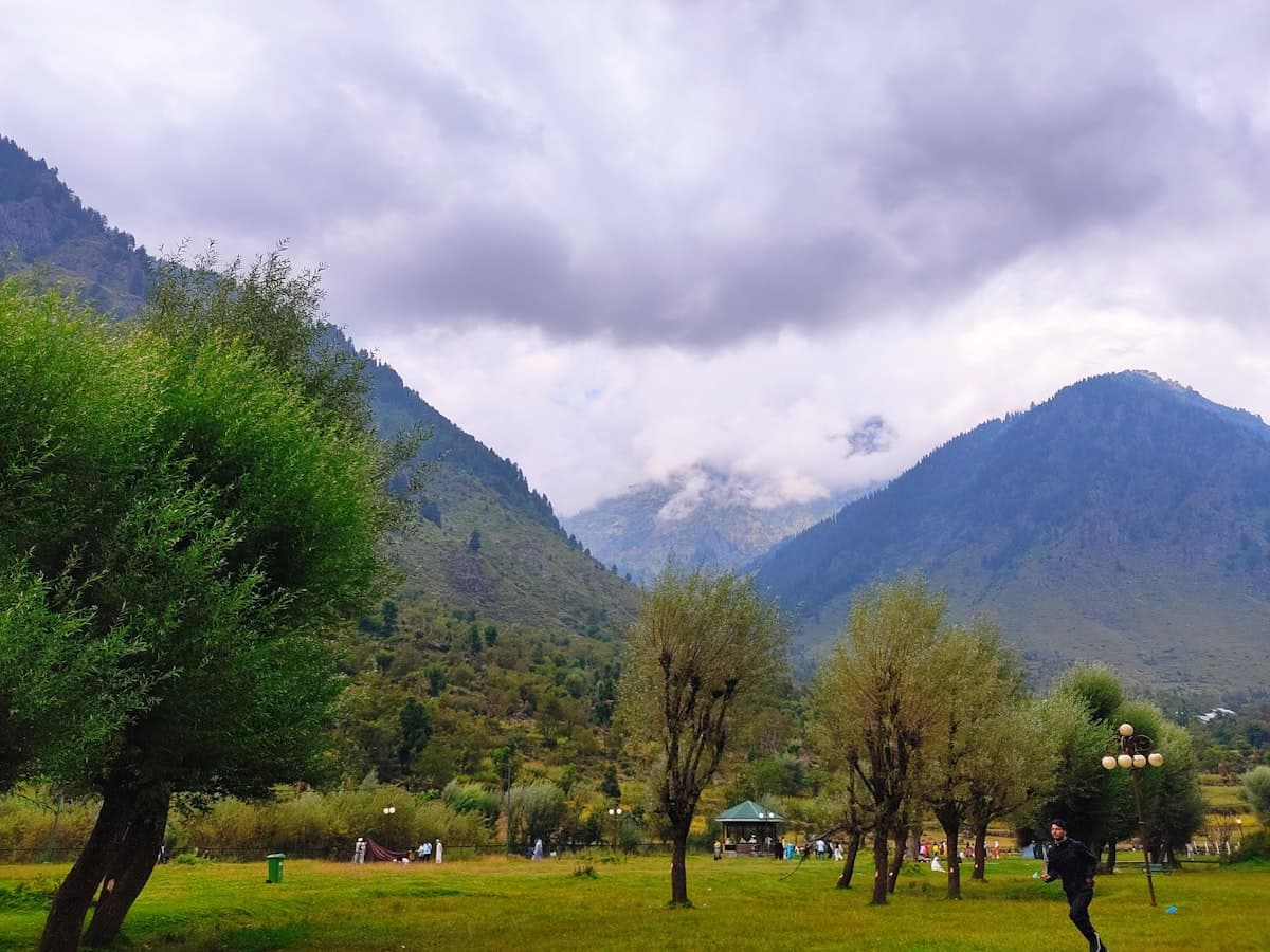 A green valley floor meets steep pine-and-snow slopes near Pahalgam.