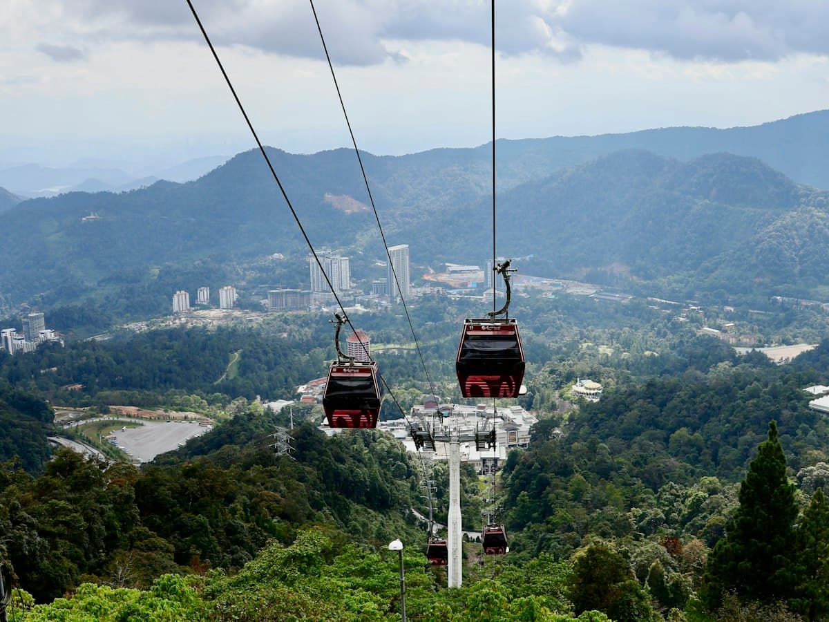 Cable-car gondolas running on a line above a lush green forested hillside.