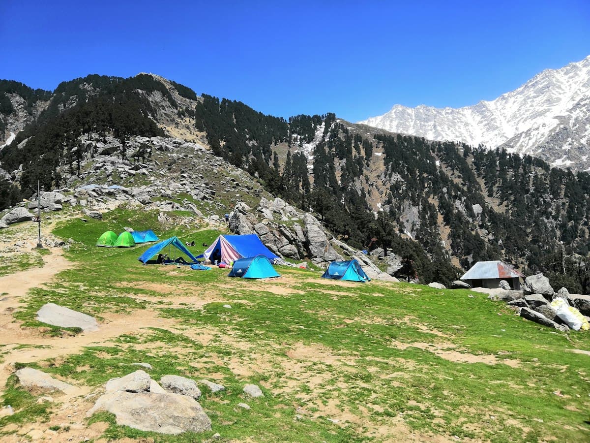 A tent pitched on the grassy Triund ridge with the rocky Dhauladhar wall rising behind.