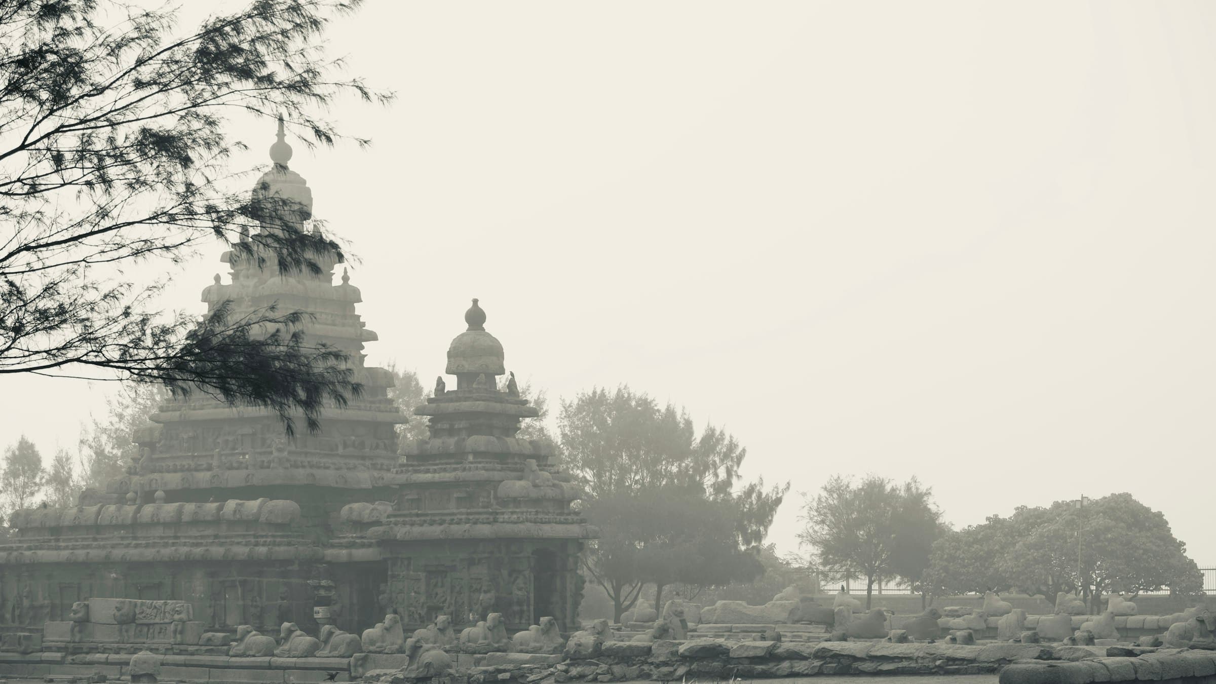Ancient Pallava stone monuments among trees in morning fog at Mahabalipuram, Tamil Nadu.