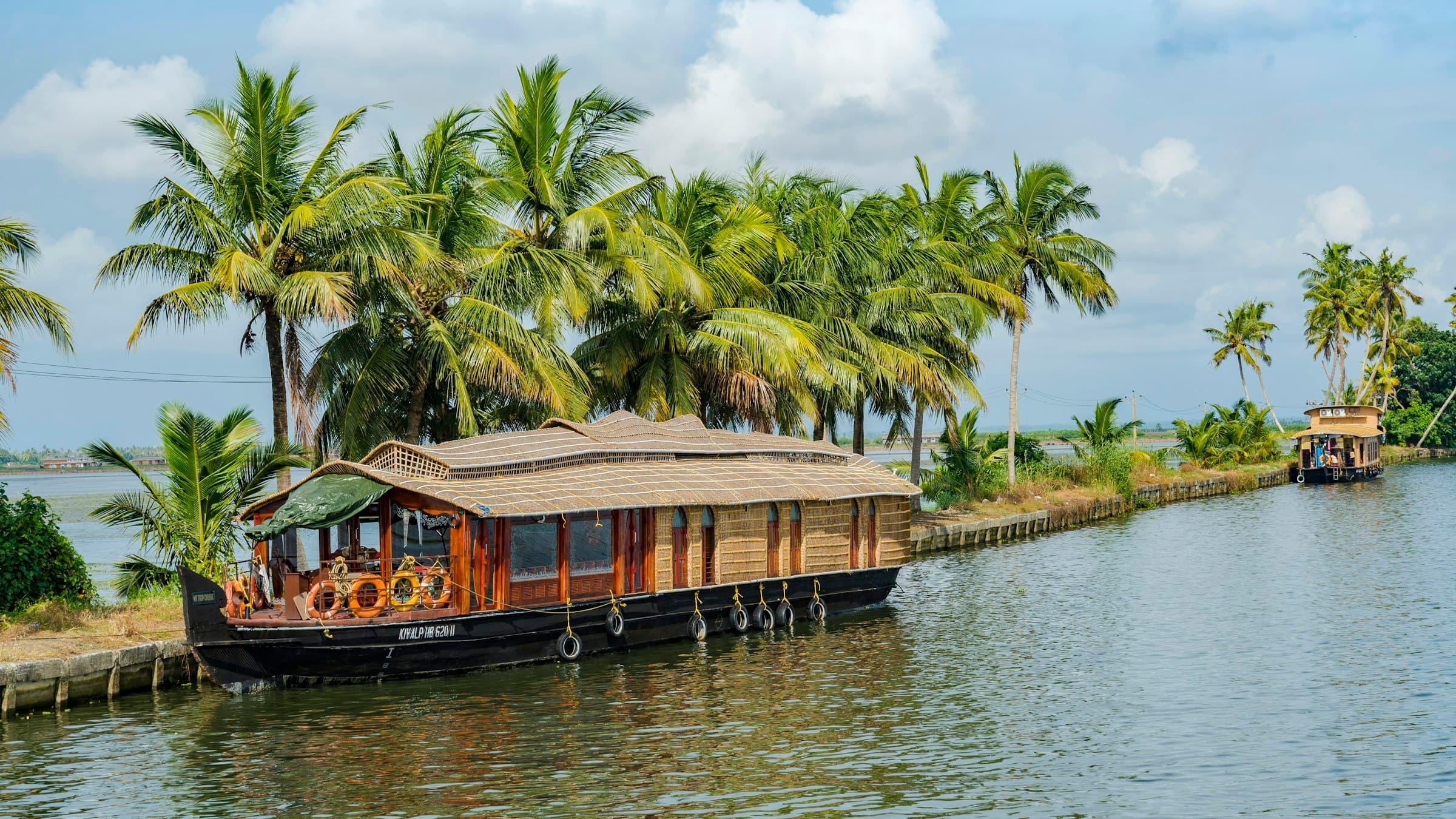 Paddy fields along the Alleppey backwaters