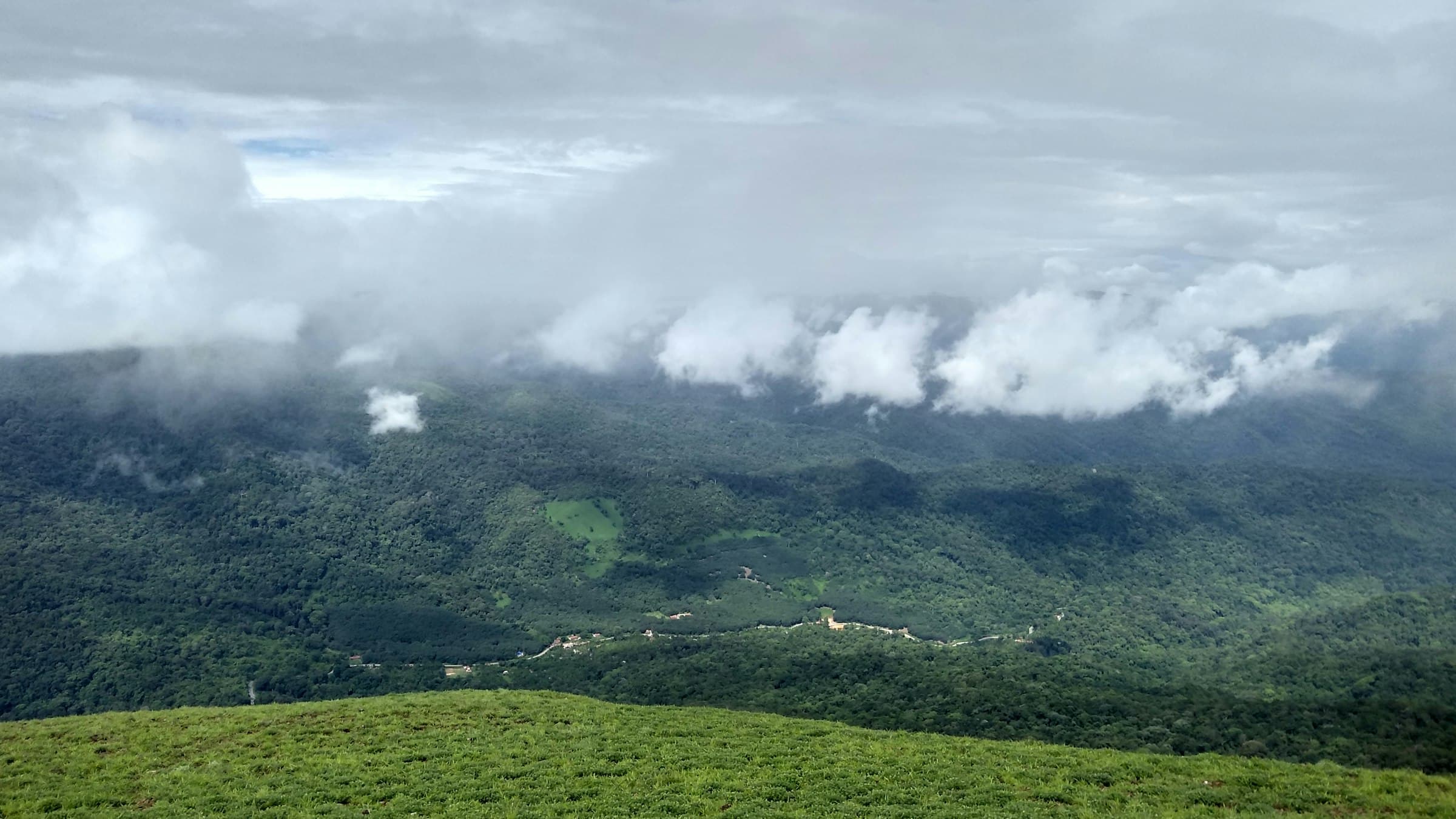 Misty green hillsides in Coorg, Karnataka's coffee-growing hill country.