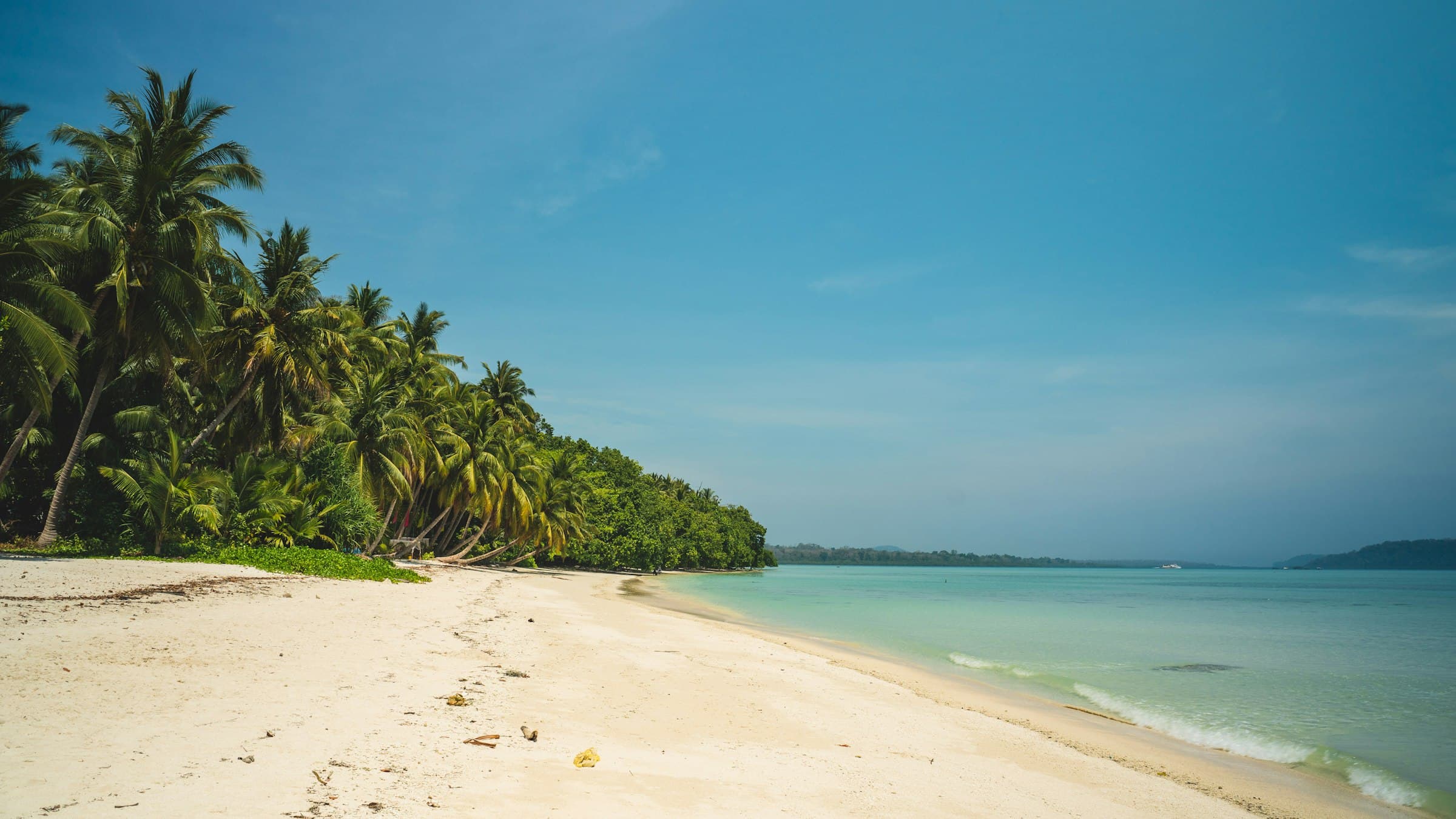 Palm trees lining a white sand beach on Havelock Island, Andaman Islands
