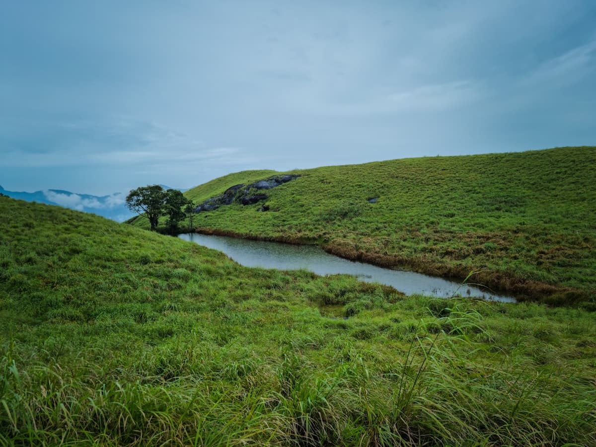 A calm forest river running between wooded banks in the Western Ghats