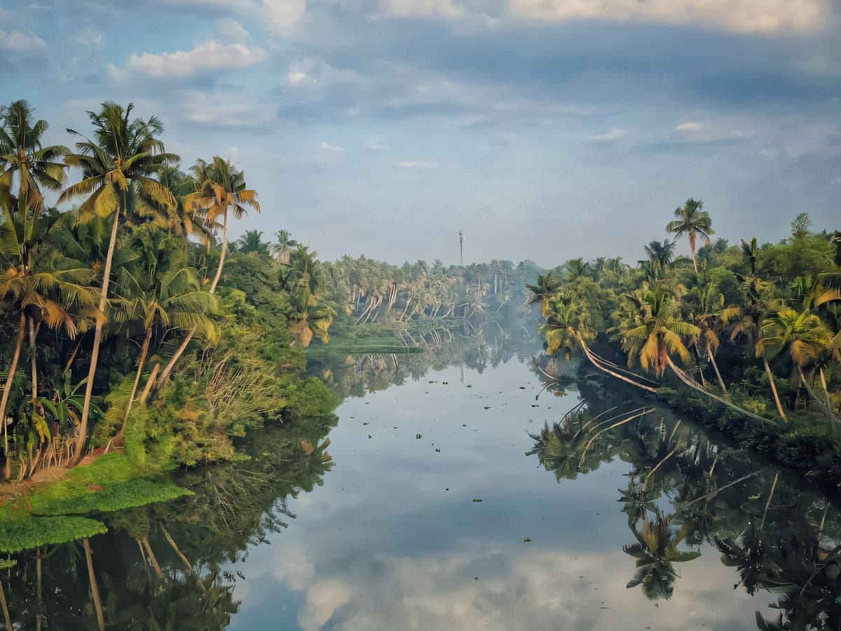 A quiet stretch of backwater at Kumarakom ringed by coconut palms