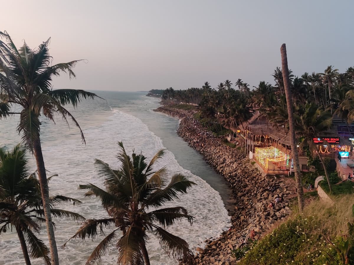 A palm-fringed beach on Kerala's southern coast near Varkala