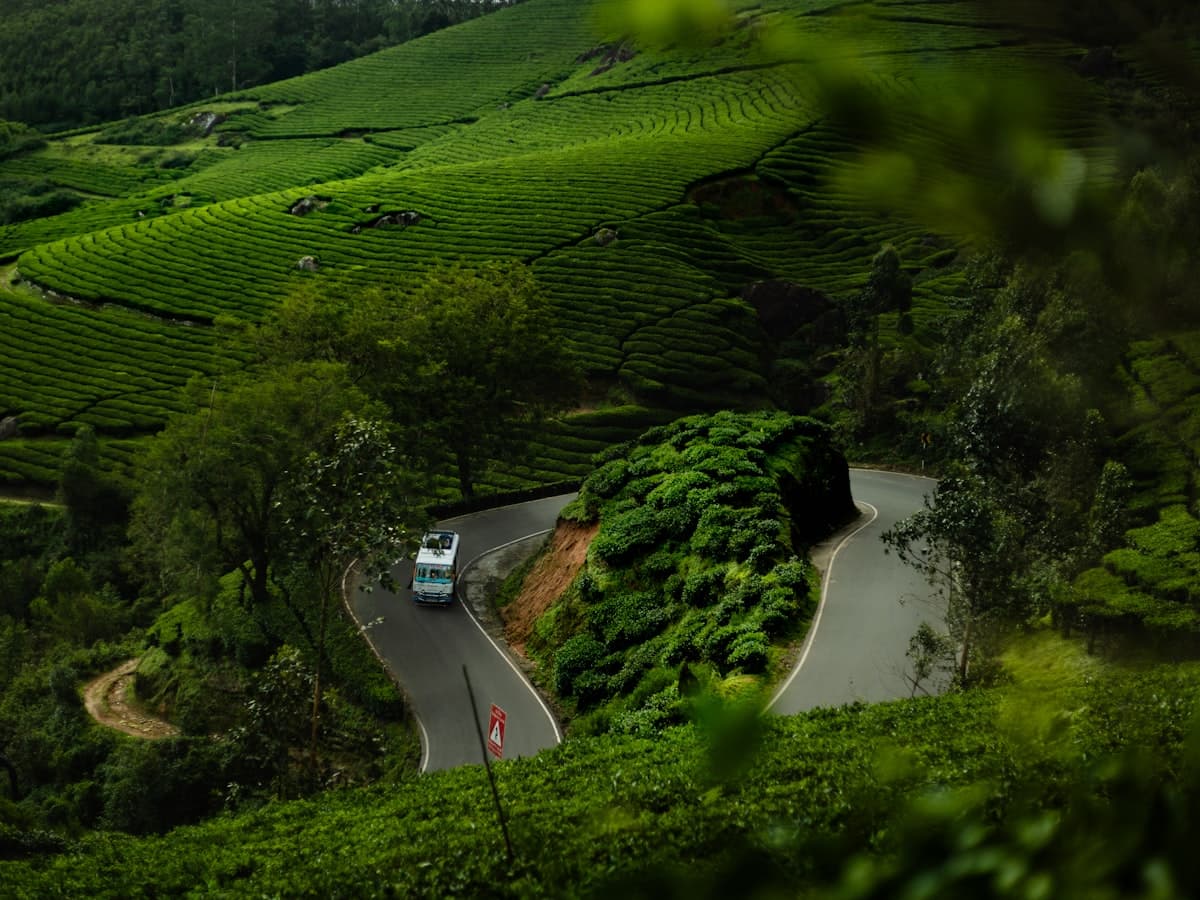 A road climbing through lush green hills into the Wayanad plateau