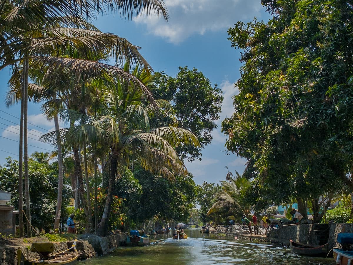 A boat moving down a palm-lined backwater towards Kumarakom