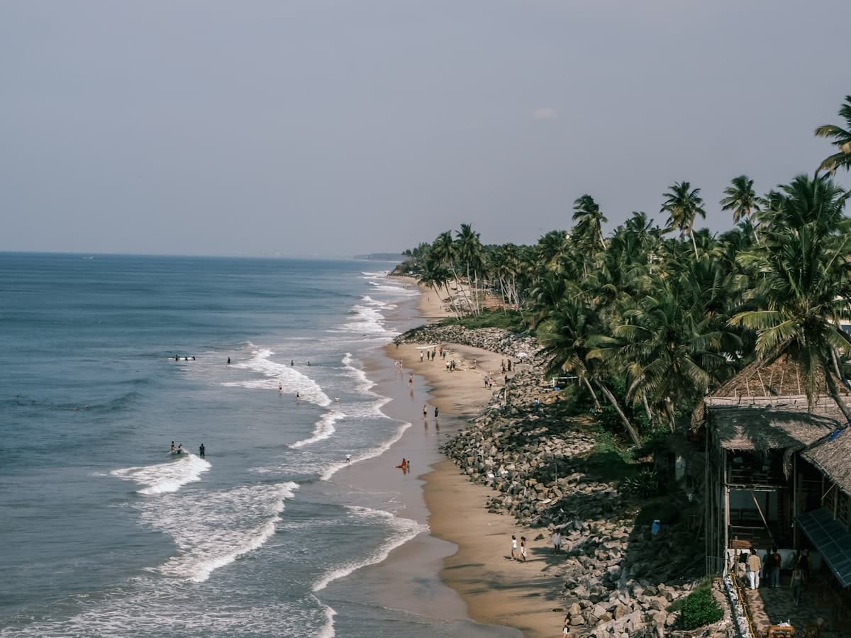 The beach and palm line at Varkala on a bright morning