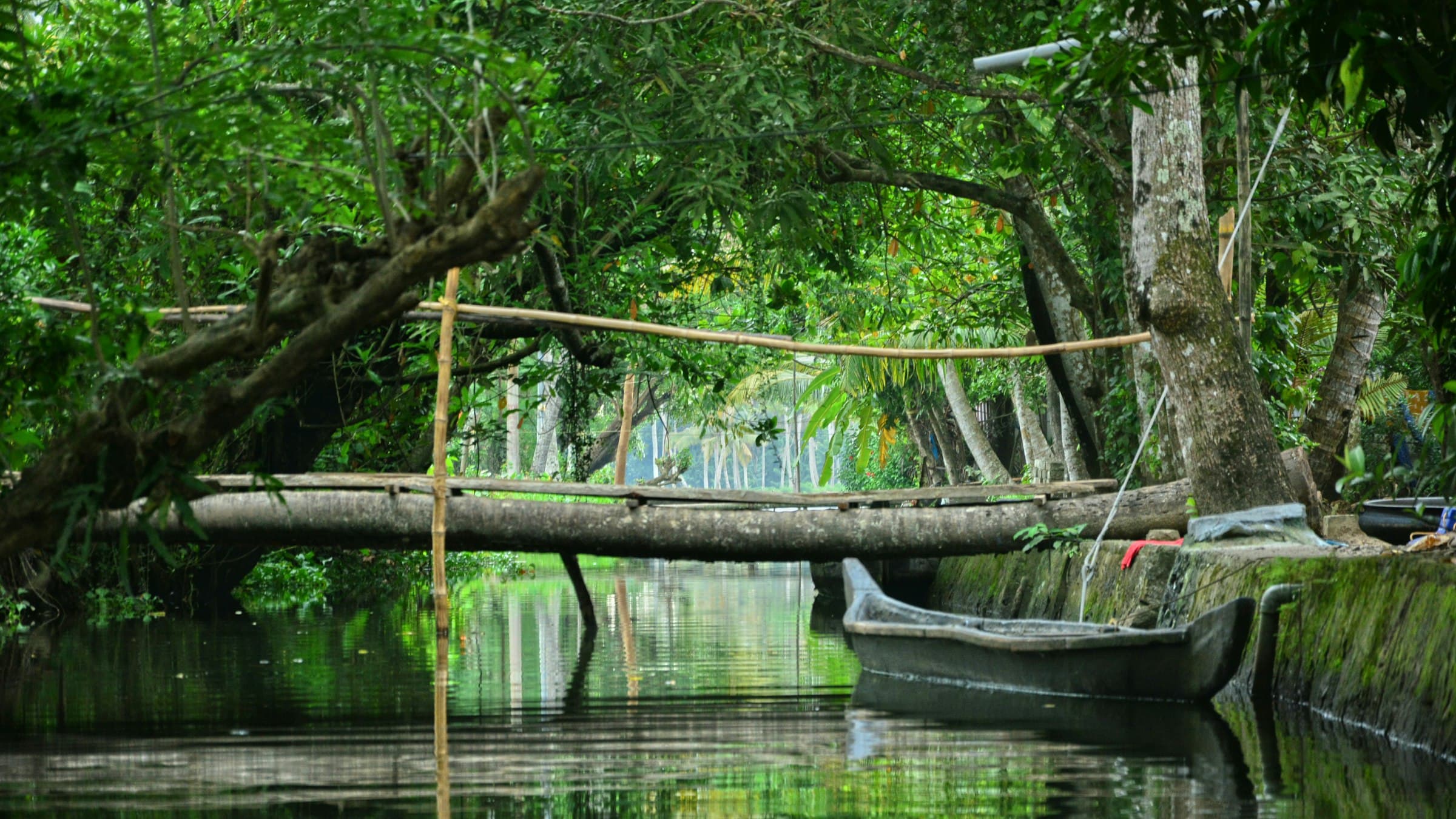 A boat on a river running beside dense green forest in Kerala