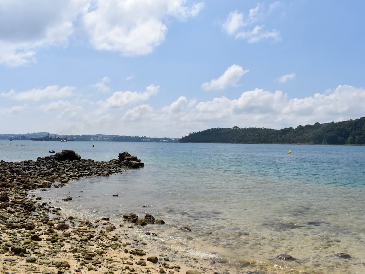 A near-empty sand beach backed by forest on Havelock Island