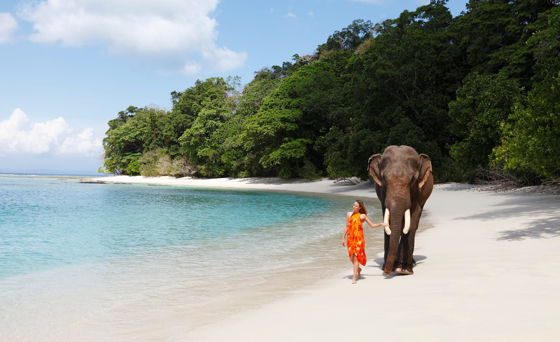 Rainforest and villas at Barefoot at Havelock, behind Radhanagar Beach