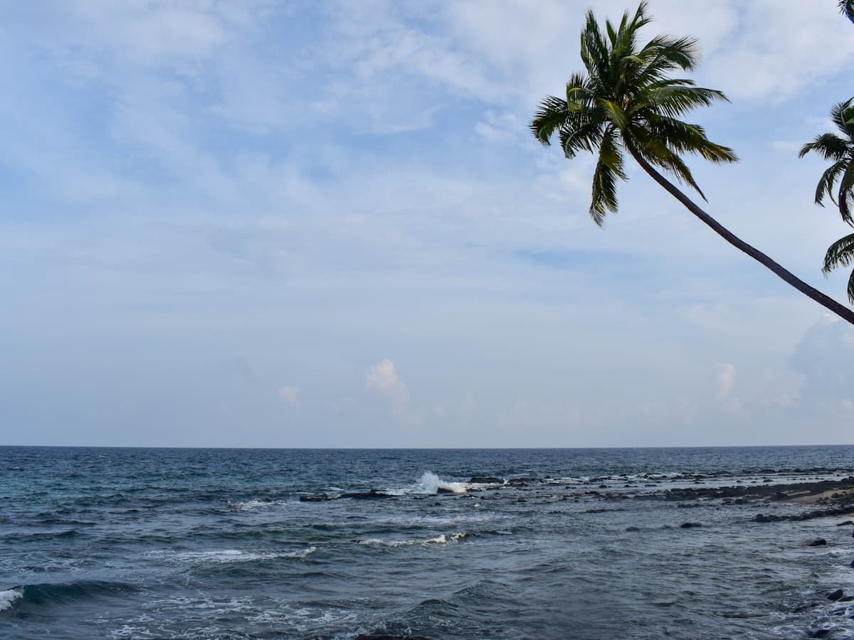 A quiet forest-backed beach on Havelock Island at first light