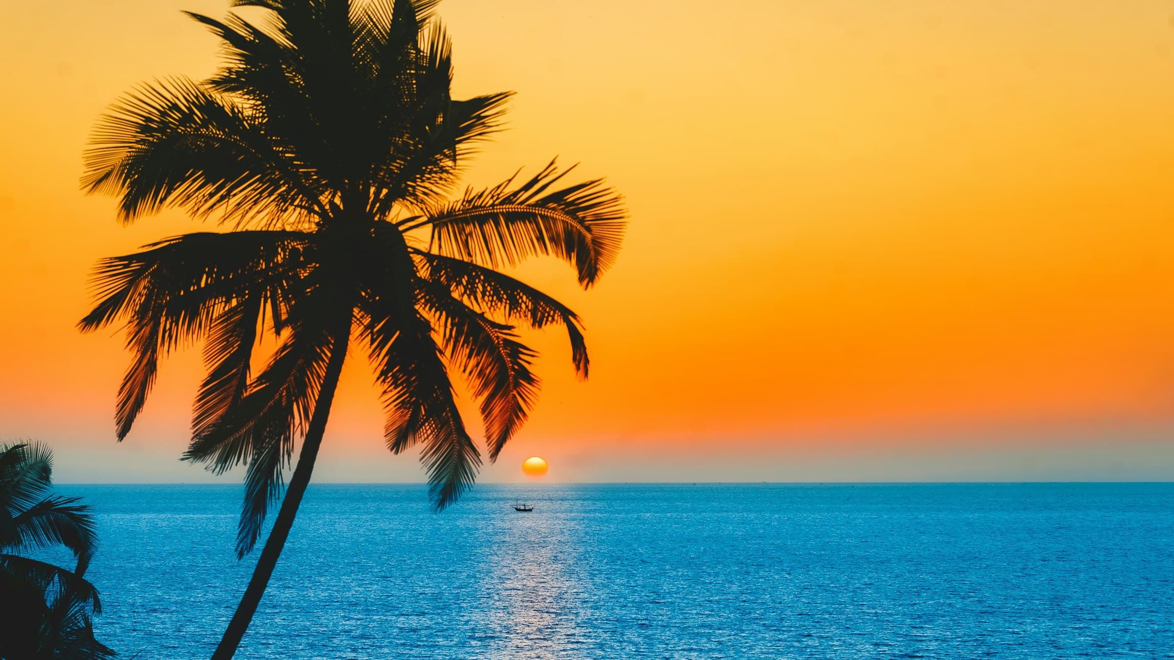 A palm silhouetted against the sea at sunset in the Andaman Islands