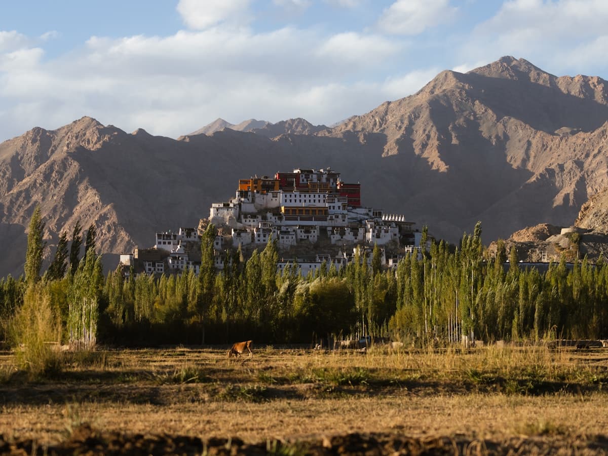 The twelve-storey Gelugpa complex of Thiksey Monastery tiered up its hill in the Indus Valley, often likened to Lhasa's Potala Palace.