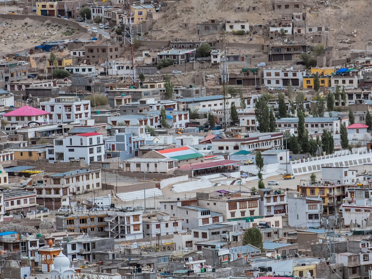 The flat rooftops of Leh town stacked up the hillside, the bare Ladakh range rising behind them under a thin high-altitude sky.