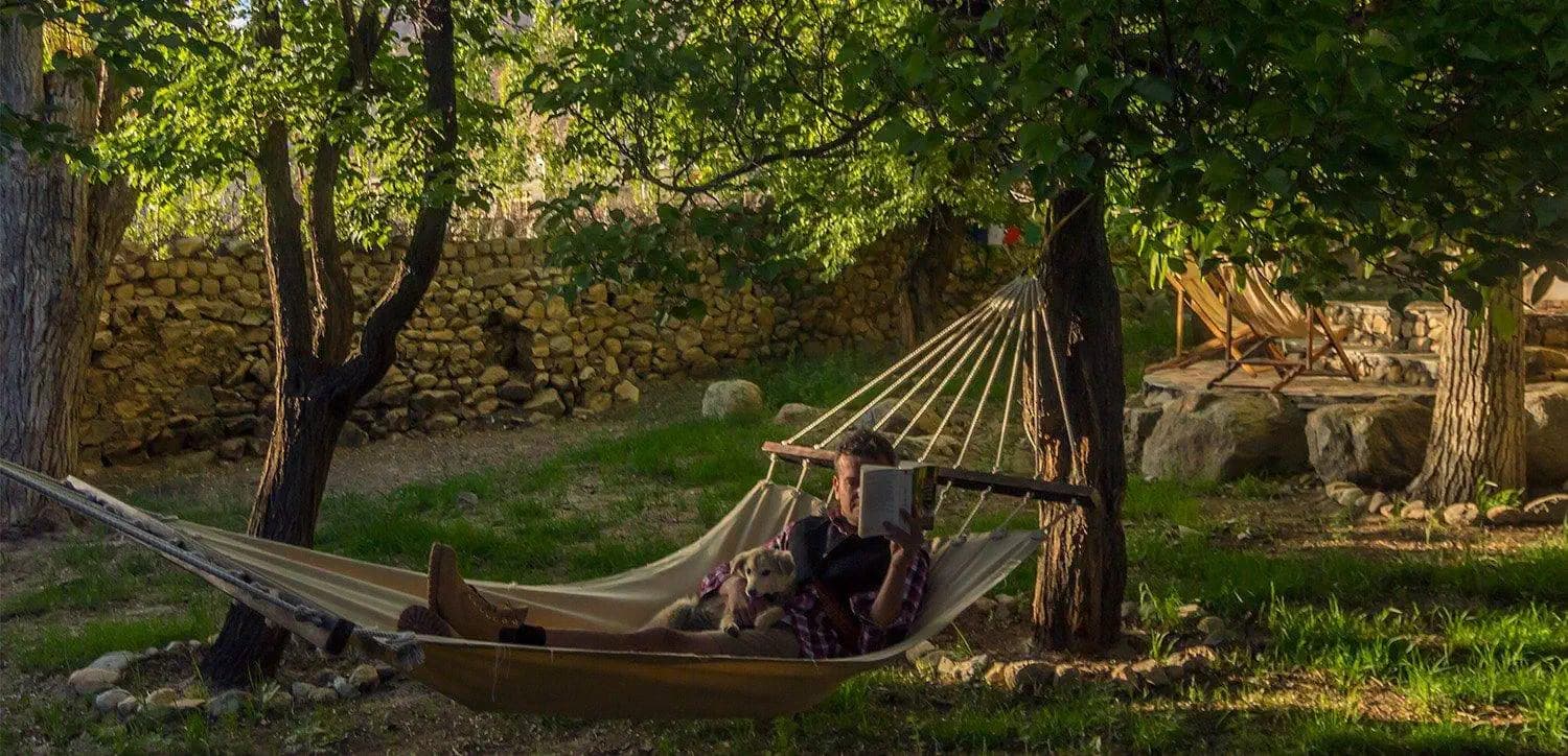A hammock strung between fruit trees in the green orchard garden of Nimmu House, Nimmu village, Ladakh