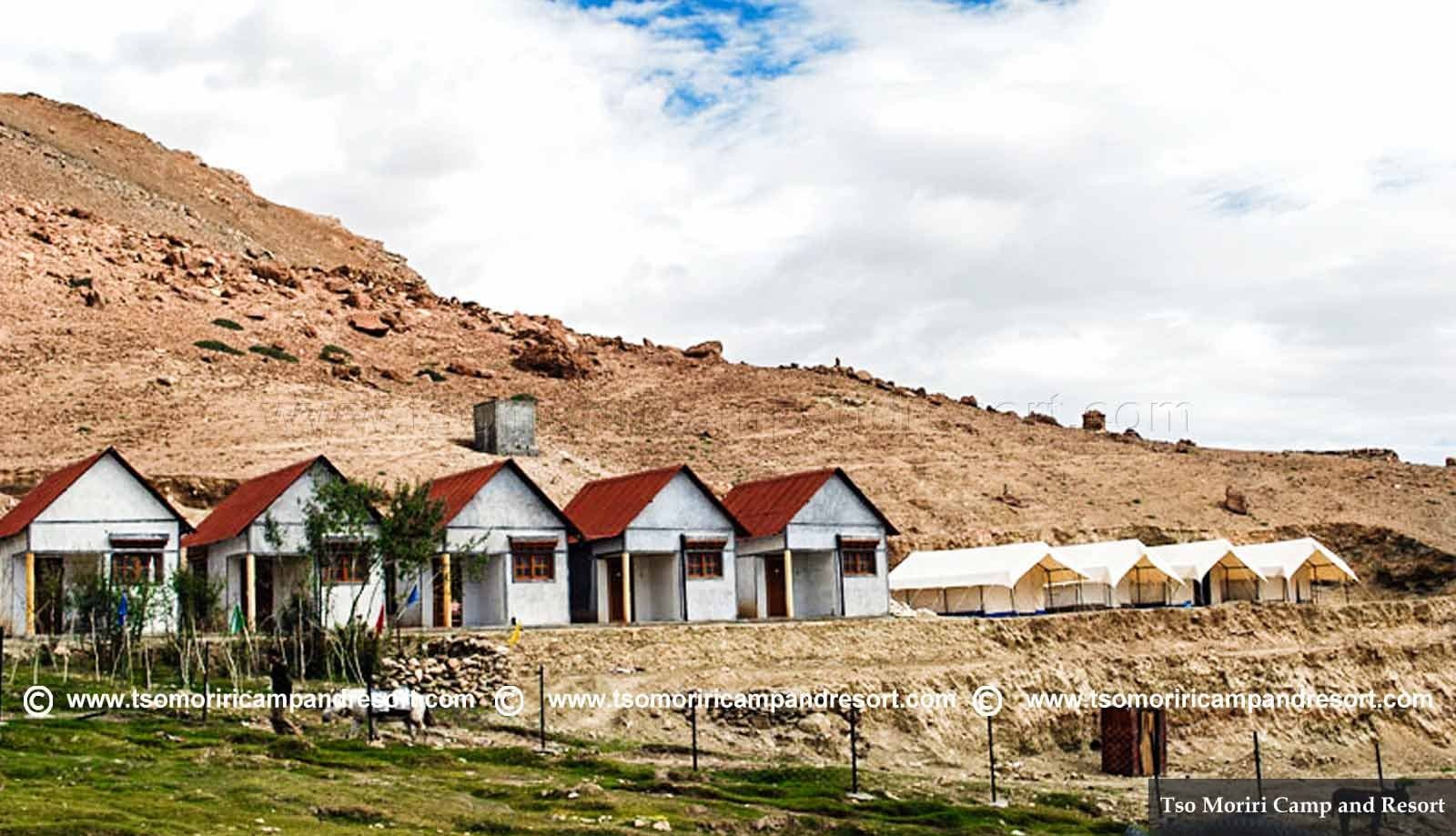 Tents of Tso Moriri Camp and Resort lined up below the Changthang mountains near Korzok, Ladakh