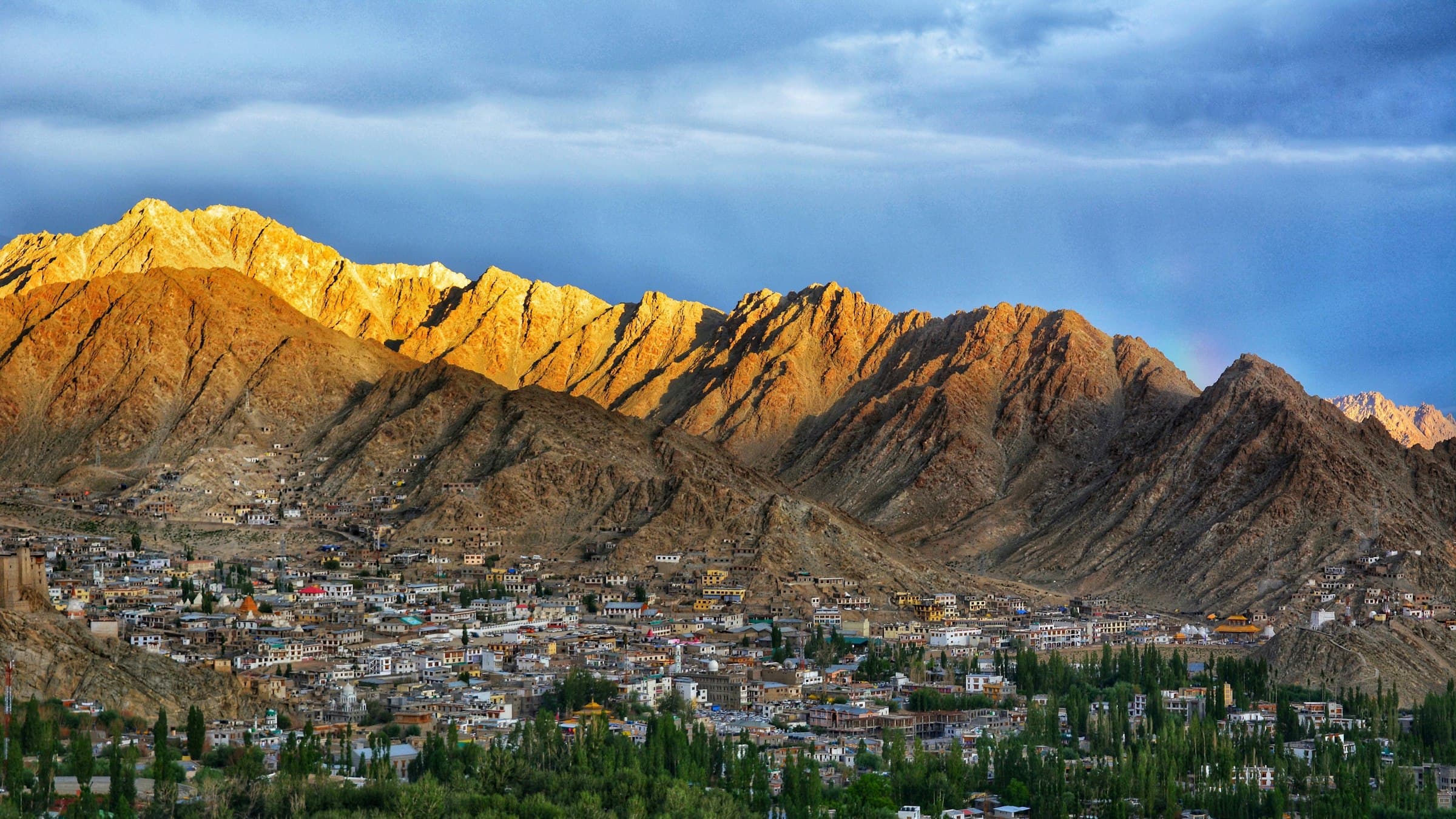 Poplar groves and green fields spill along the valley floor beneath the bare brown wall of the Ladakh range.