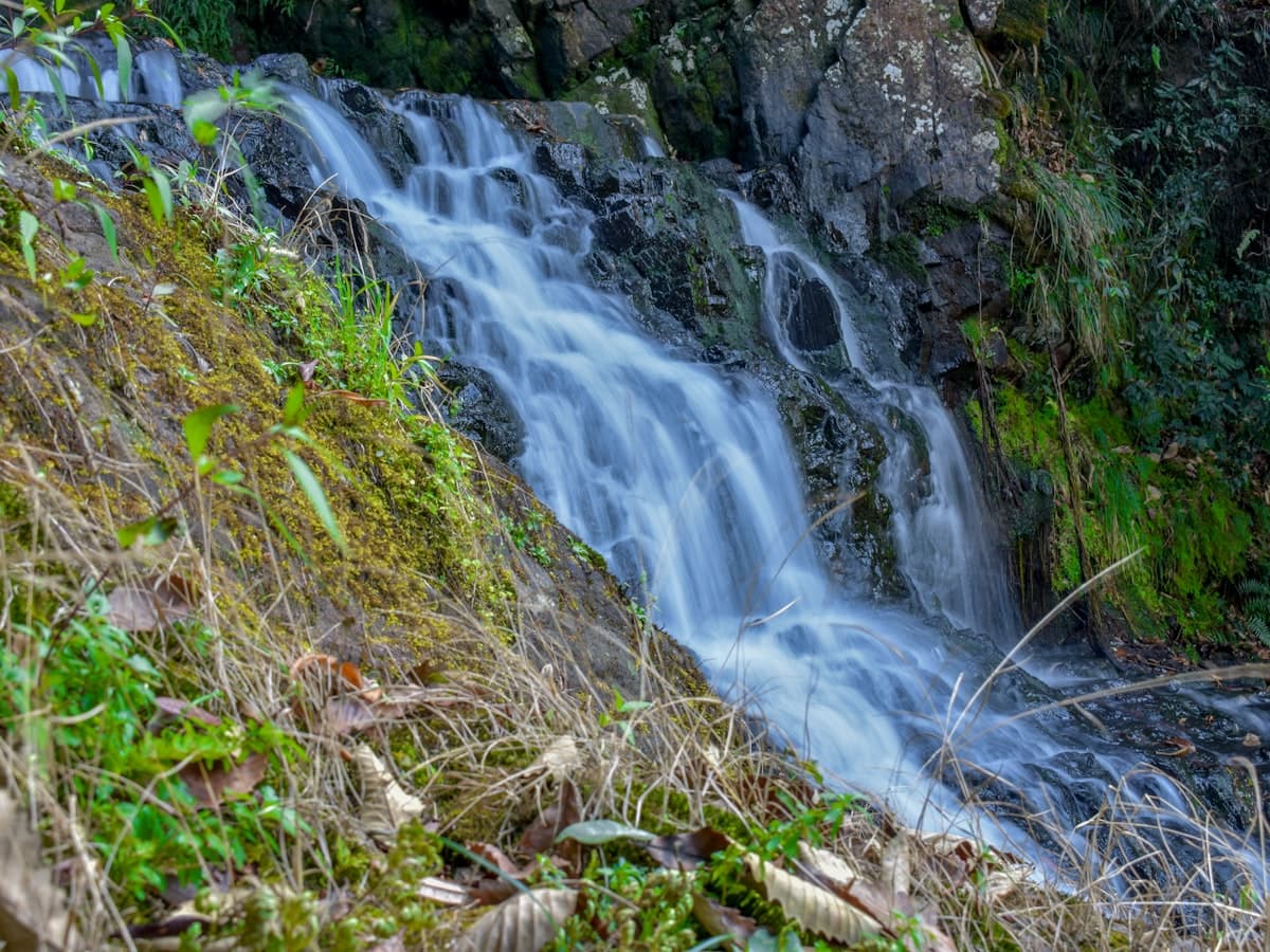 A tiered forest waterfall tumbling over mossy rock through dense greenery near Shillong, Meghalaya.
