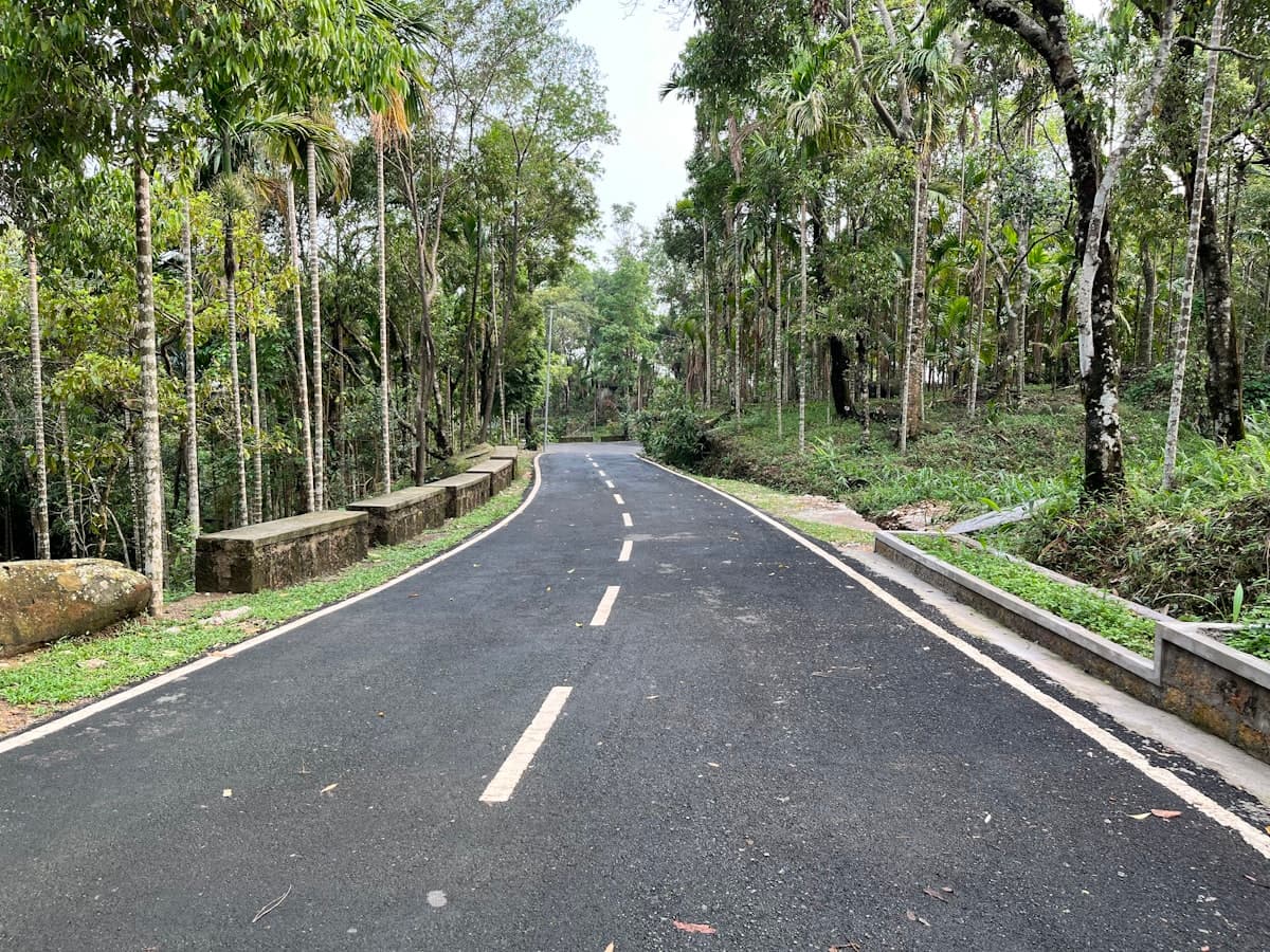 A clean tree-lined lane running through Mawlynnong village in Meghalaya.