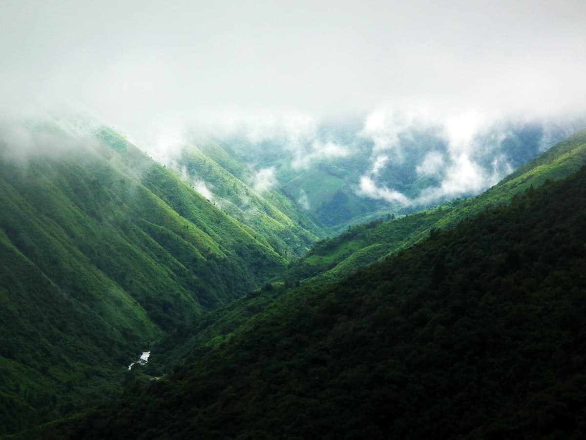 Layered green ridges under a low overcast sky near Cherrapunji.