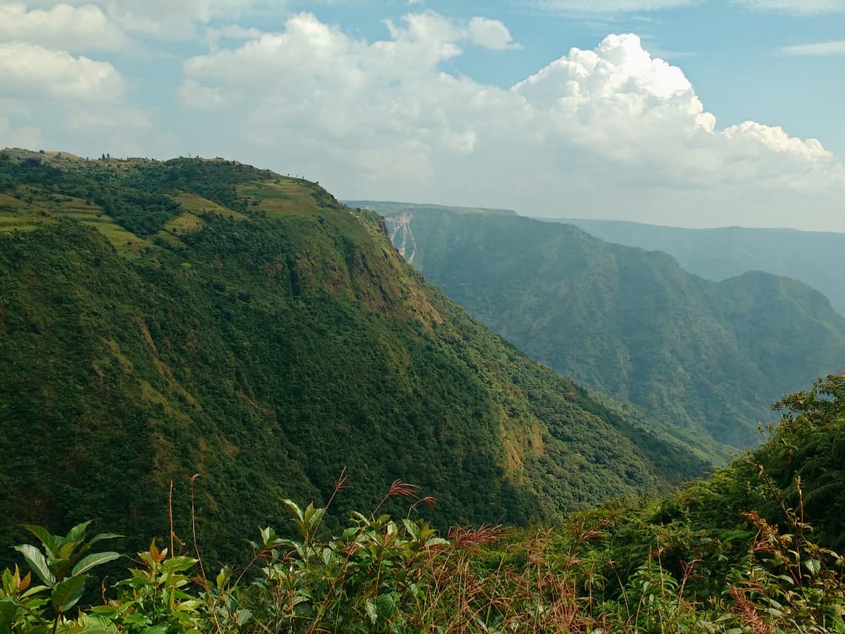Forested hills and valleys rolling away from Shillong on the road toward Guwahati.