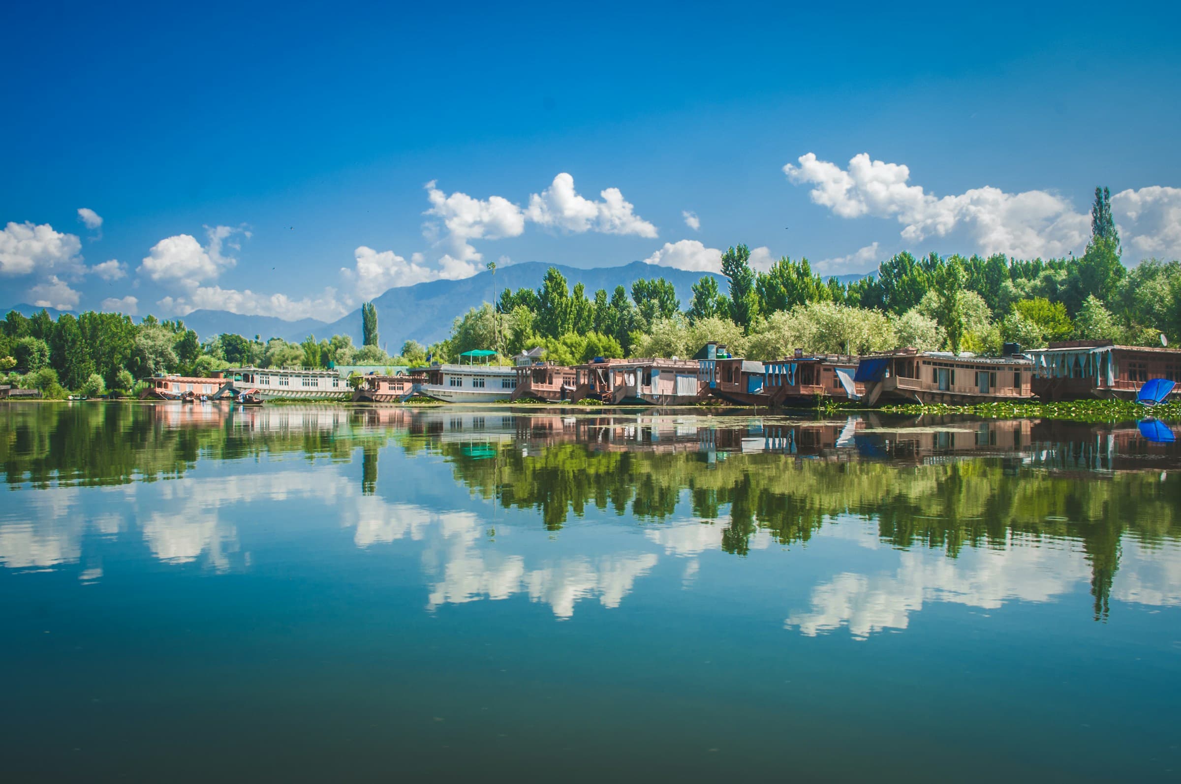 A line of traditional wooden houseboats moored along the Dal Lake shoreline in Srinagar under a blue sky.