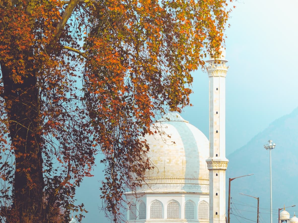 A large white shrine building beside a chinar tree in Srinagar.