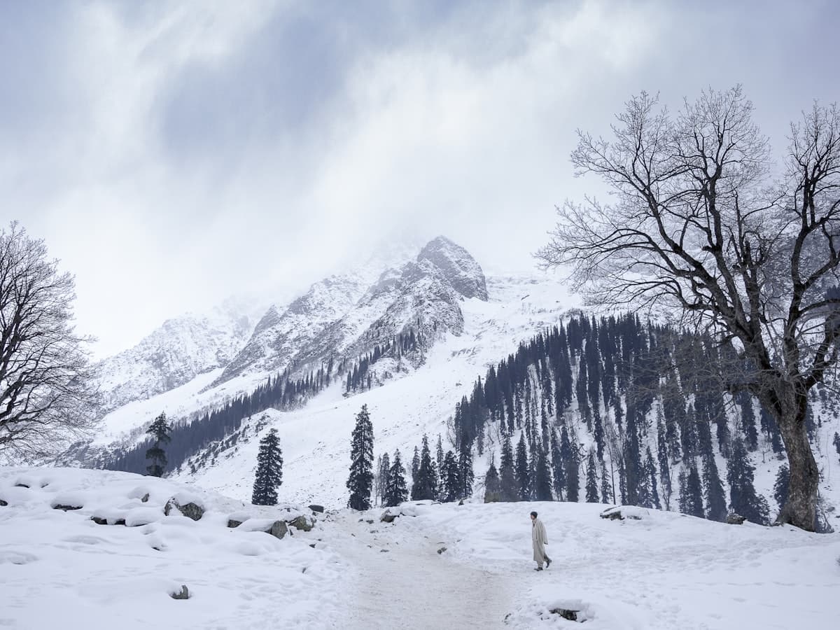 A snow-dusted mountain with pine trees and a trail near Gulmarg.