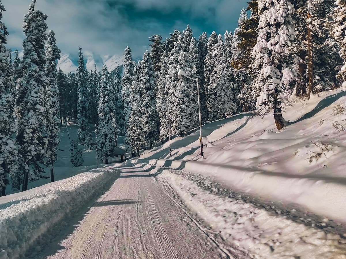 A snowboarder descending a wide snow-covered slope at Gulmarg.
