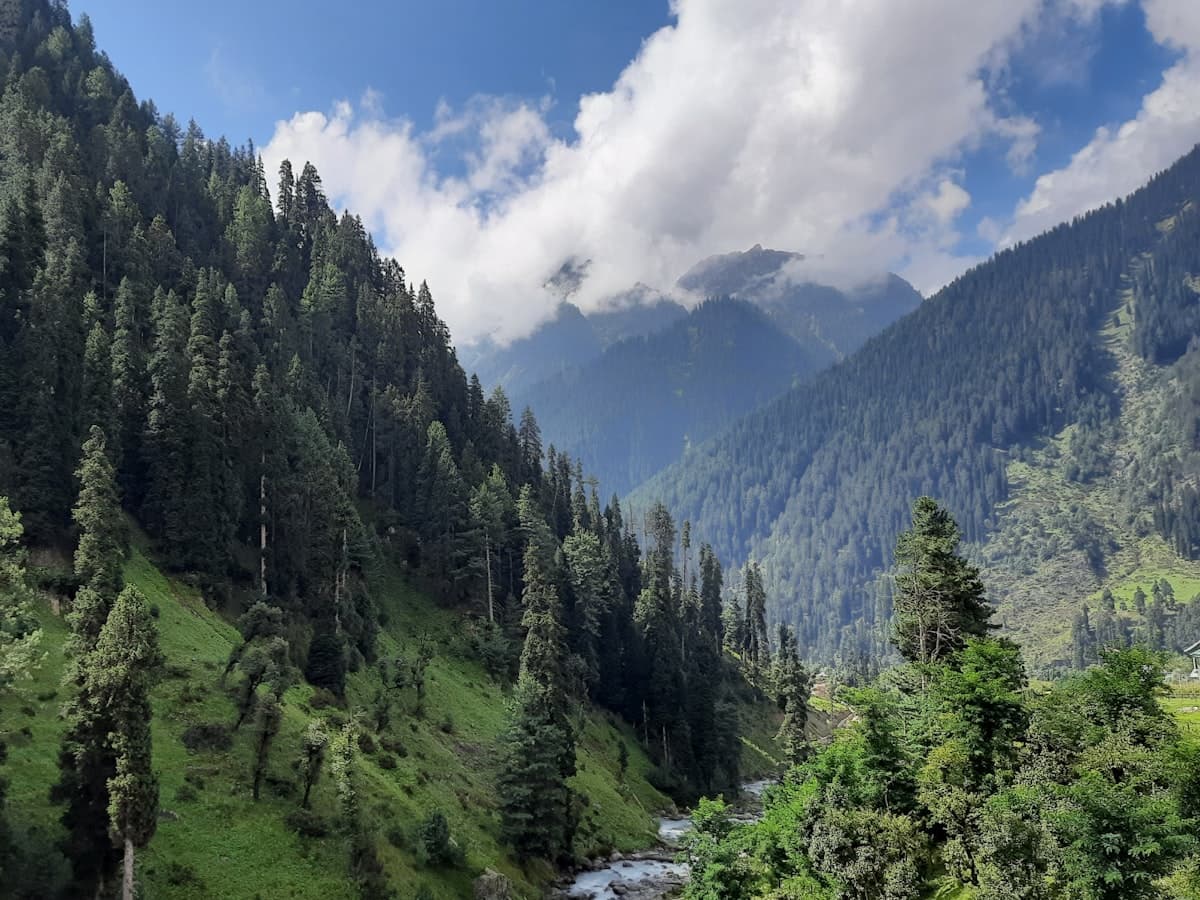 A river running through a green Kashmir valley lined with trees and mountains.