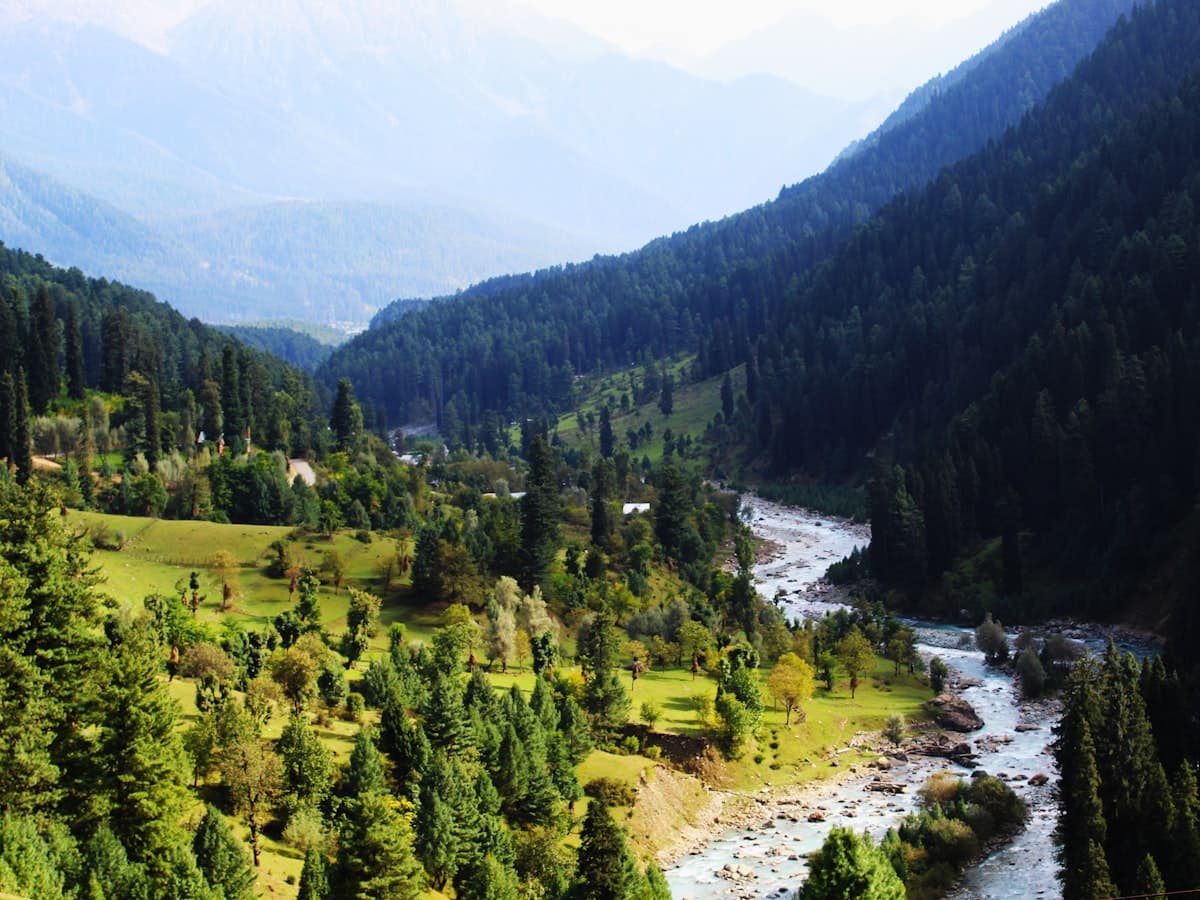 The Lidder river running through a lush green pine valley near Pahalgam.