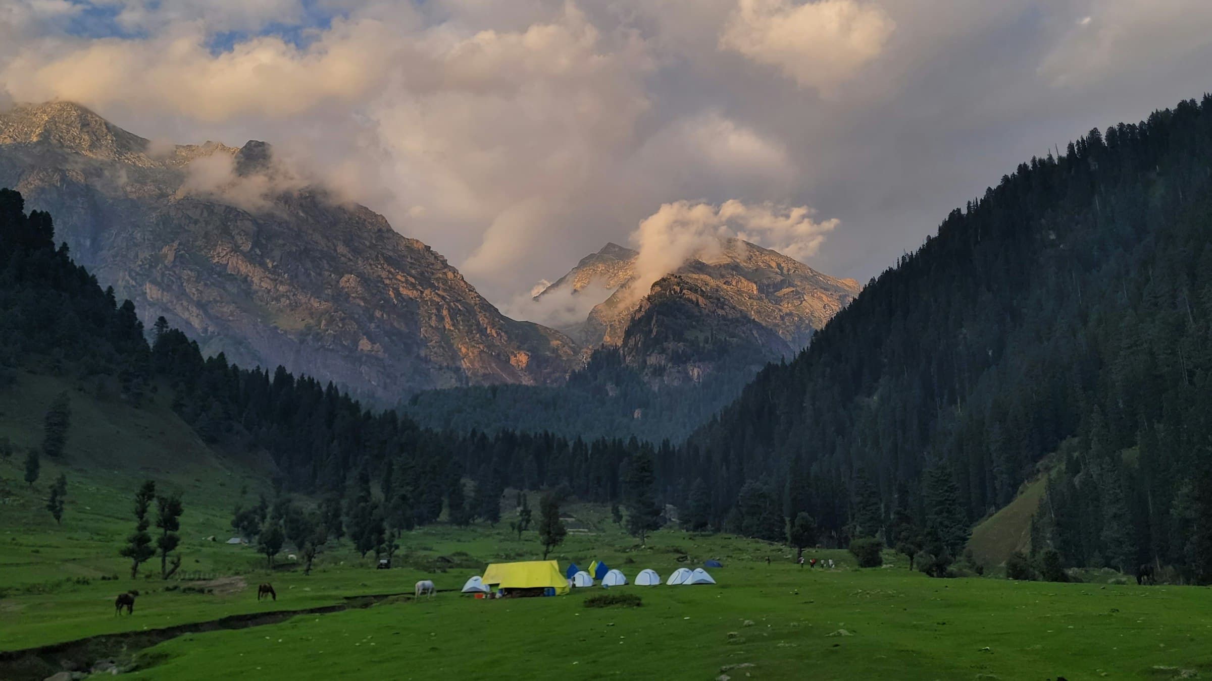 A wide grassy Kashmir valley between mountain ranges.