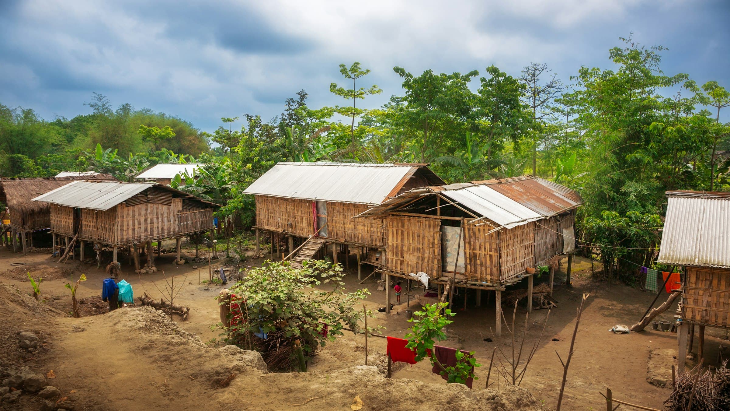 Stilt houses among dense greenery in a village on Majuli, the Brahmaputra river island in Assam.