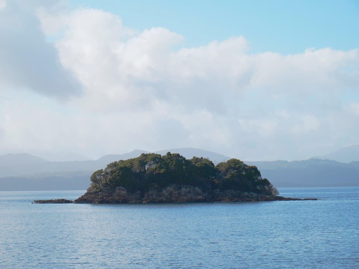 A small tree-covered island sits in calm water.