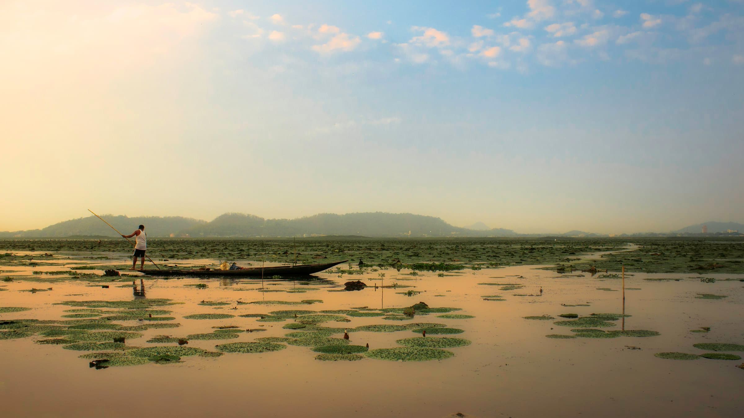 A man rows a wooden boat through flowering water lilies on a Majuli backwater at sunset, Assam.