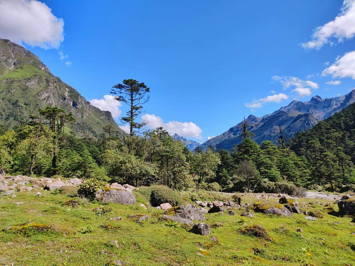 The green meadow floor of Yumthang Valley in North Sikkim, ringed by forested mountains.