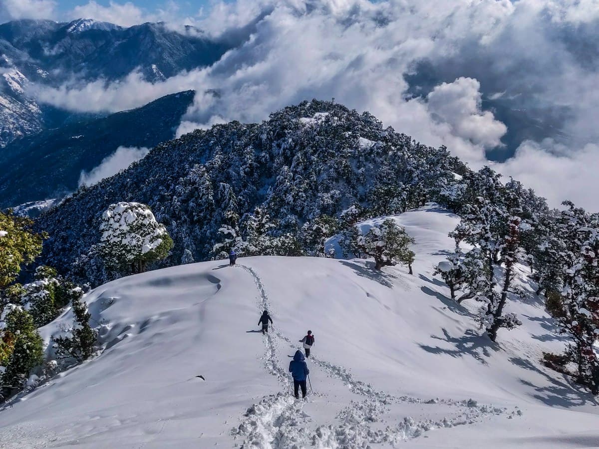 A person stands on an open snow slope with Himalayan peaks beyond, near Shimla.