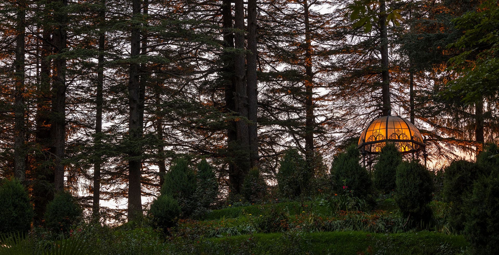 Wildflower Hall, an Oberoi Resort, seen across the cedar forest above Shimla.