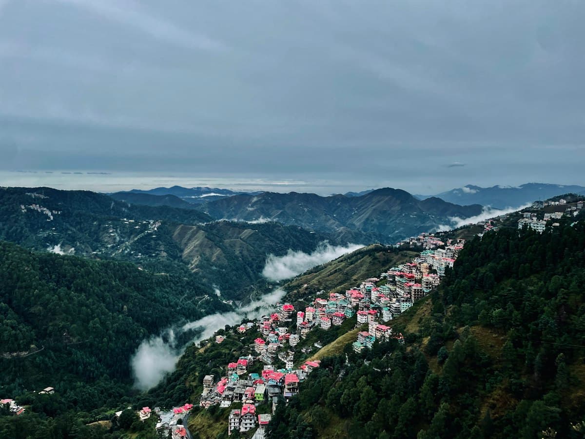 The town of Shimla spread in tiers across a forested Himalayan ridge with a mountain range behind.