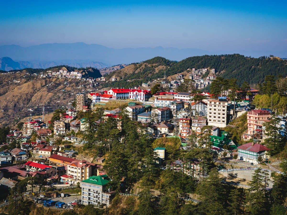 A dense hillside of Shimla's colonial-era buildings seen from above during the day.