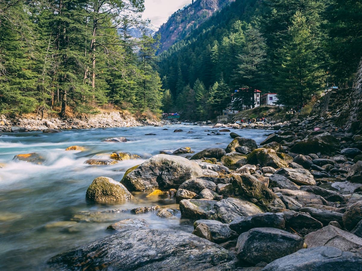 A river runs through a steep pine-forested gorge in Himachal Pradesh.
