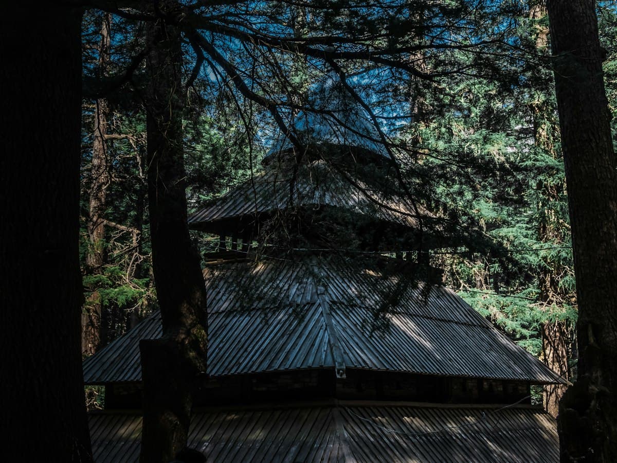 The tiered wooden Hadimba temple stands among tall deodar cedars in a Manali forest.