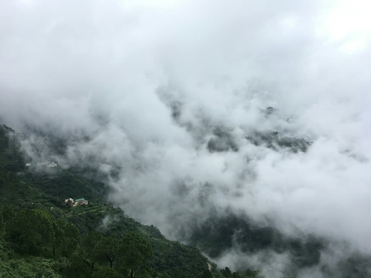 White cloud sits below a pine-covered Kasauli ridgeline in the western Himalayan foothills.