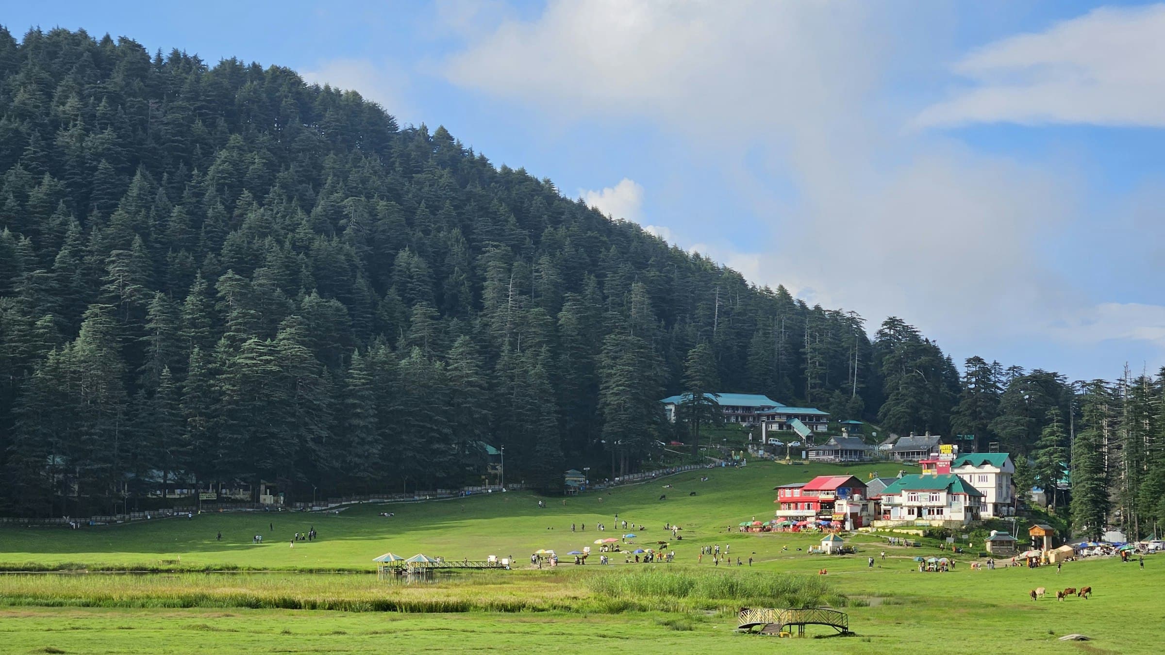 The wide Khajjiar meadow edged by dense pine and deodar forest with scattered buildings.