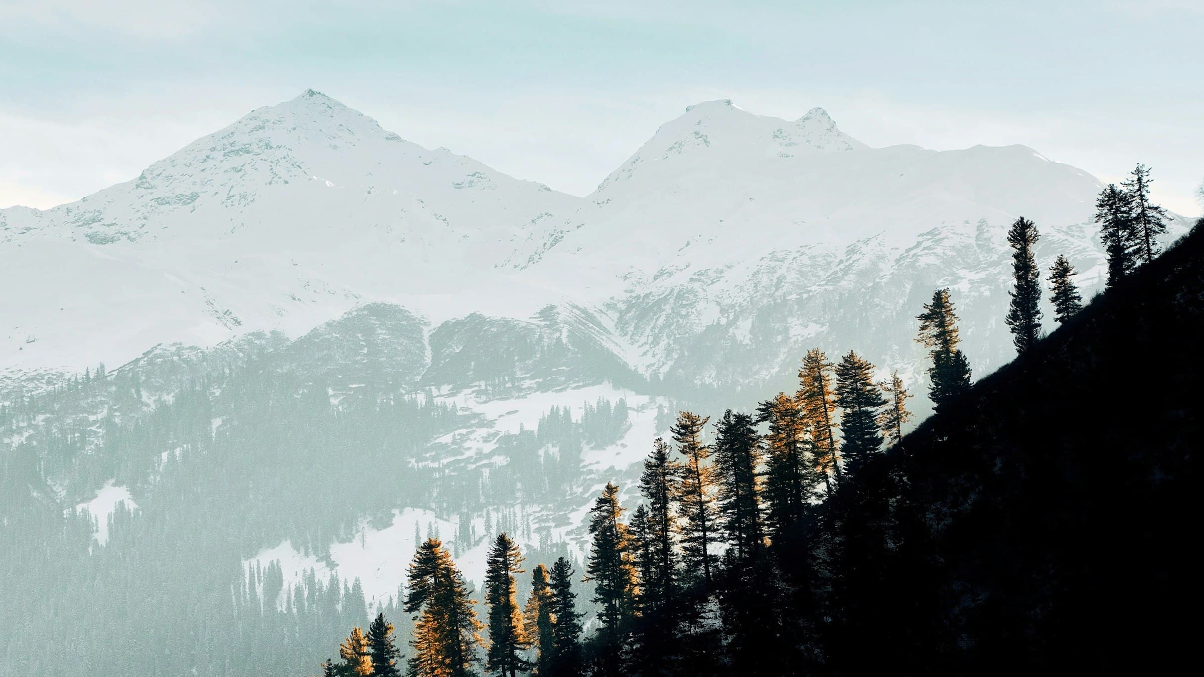 Snow-covered peaks tower over deep forested slopes with pines in the foreground in Kullu.